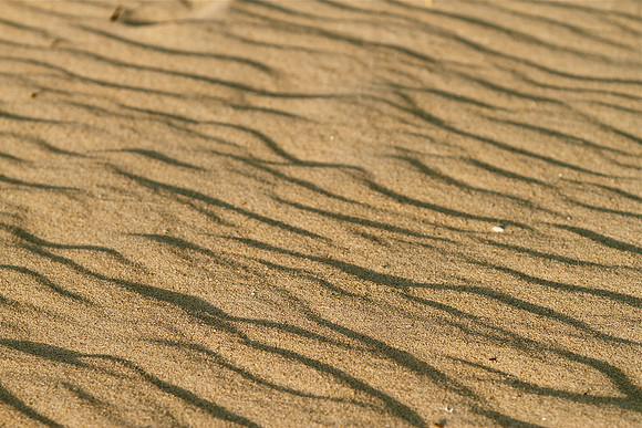 Lines ~