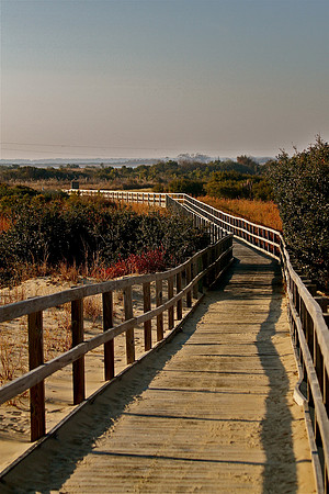 Modern Path ~
