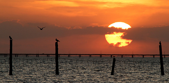 Chesapeake Bay ~