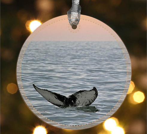Twilight Tail ~ Image on both sides of Metal Ornament complete w red ribbon & sash