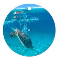 Free Dive ~Image on both sides of Metal Ornament complete w red ribbon & sash