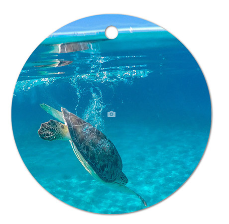 Free Dive ~Image on both sides of Metal Ornament complete w red ribbon & sash