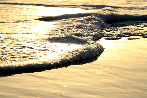 Morning Moments ~