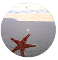 Lucky Star ~Image on both sides of Metal Ornament complete w red ribbon & sash