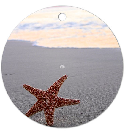 Lucky Star ~Image on both sides of Metal Ornament complete w red ribbon & sash