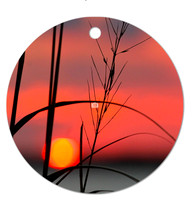 Afternoon Delight ~Image on both sides of Metal Ornament complete w red ribbon & sash