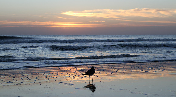 First Light ~