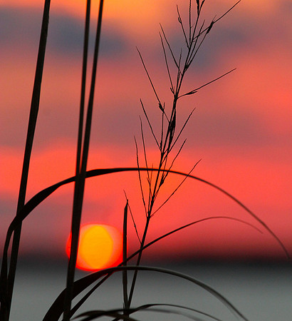 Afternoon Delight ~