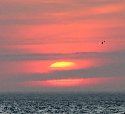 New Horizon ~