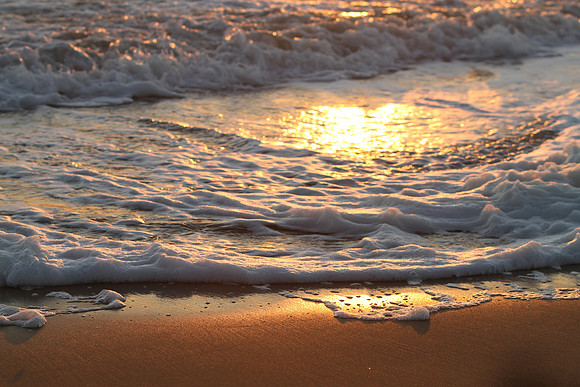Morning Tide ~