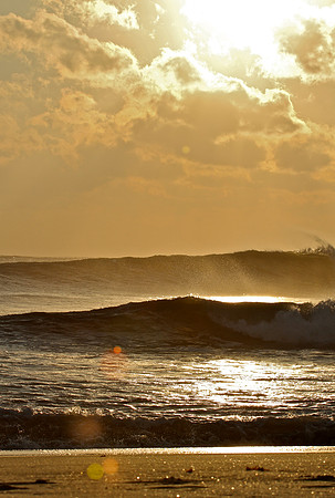 Golden Ticket ~