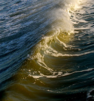 Sandbridge Swell ~