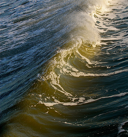 Sandbridge Swell ~