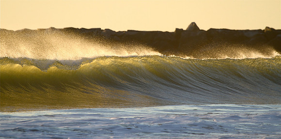 Sunlit ~