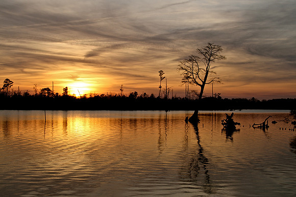 Intracoastal Waterway ~