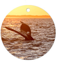 Golden Dive ~Image on both sides of Metal Ornament complete w red ribbon & sash