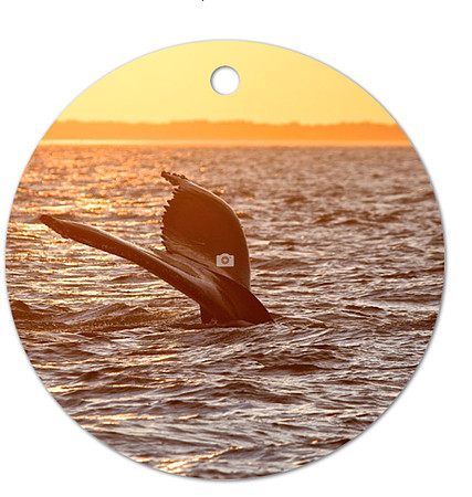 Golden Dive ~Image on both sides of Metal Ornament complete w red ribbon & sash