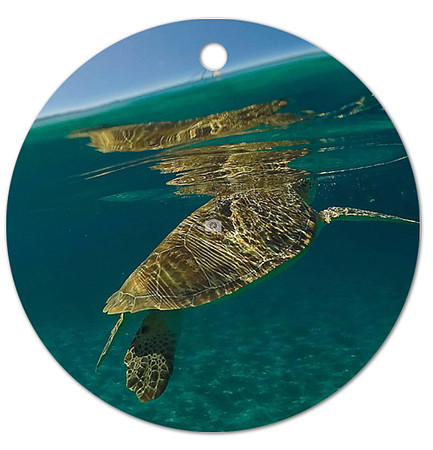 Caribbean Vibes ~Image on both sides of Metal Ornament complete w red ribbon & sash