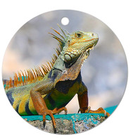 Respect ~Image on both sides of Metal Ornament complete w red ribbon & sash