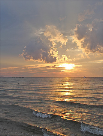 Ripple ~