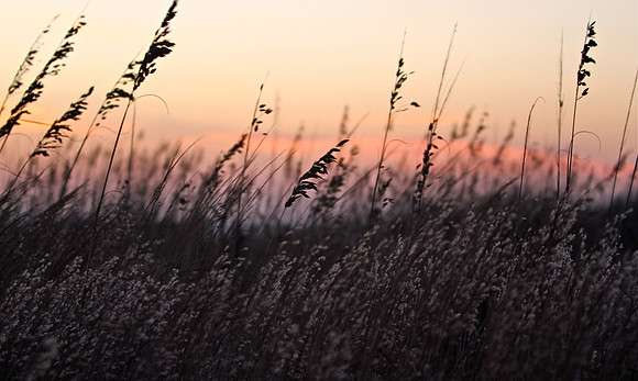 Dawn Patrol ~