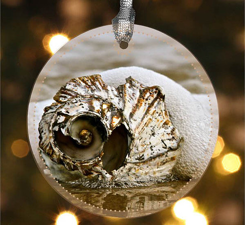 Embrace ~  Image on both sides of Metal Ornament complete w red ribbon & sash