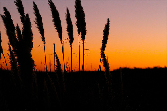 Warm Glow ~