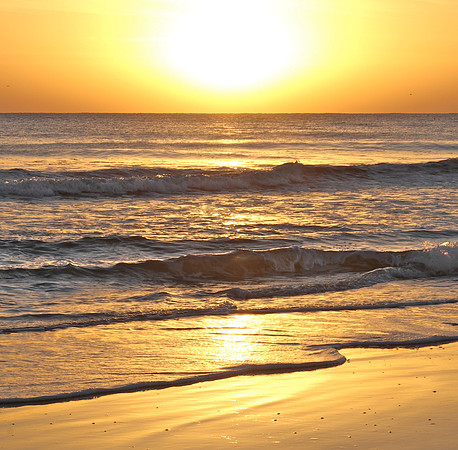 Morning Warmth ~