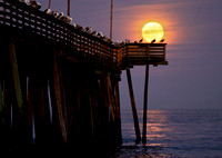 Full Moon Rising ~