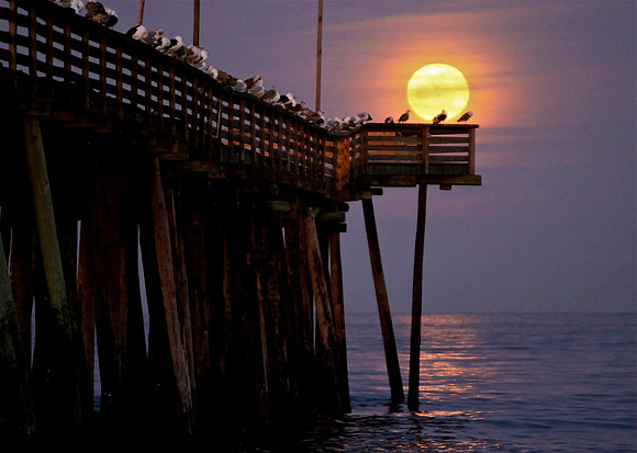 Full Moon Rising ~