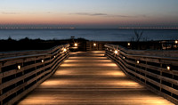 First Landing State Park ~